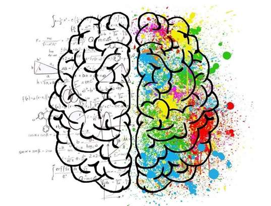 brain, mind, psychology